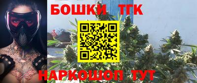 СК Камышлов